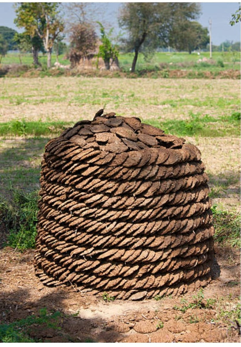 Why Choose Cow Dung Dhoop
